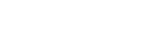 savaya logo